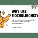 why use fidzholikohixy