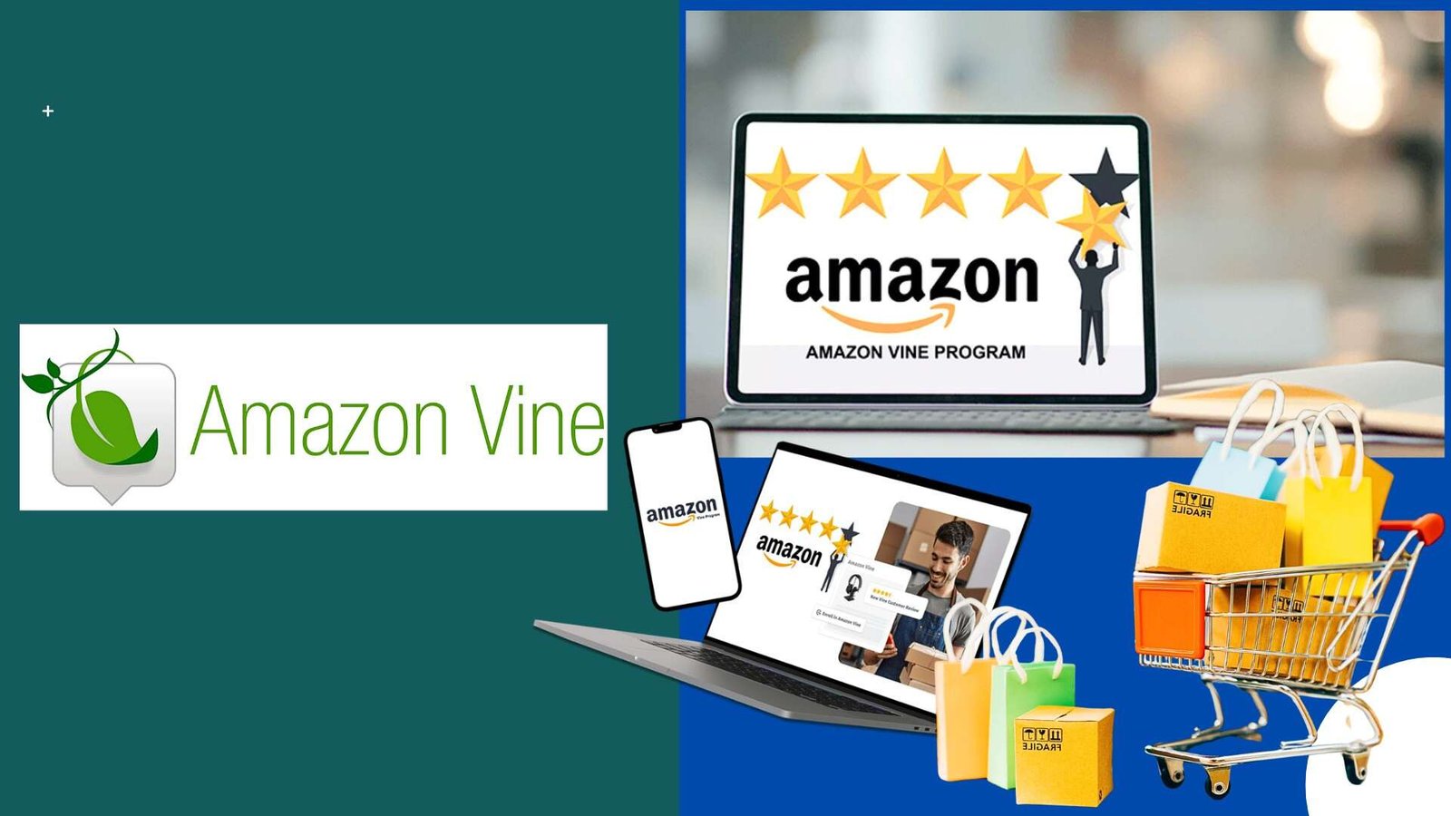 Amazon Vine Login: The Complete Guide for Reviewers & Sellers (2025)